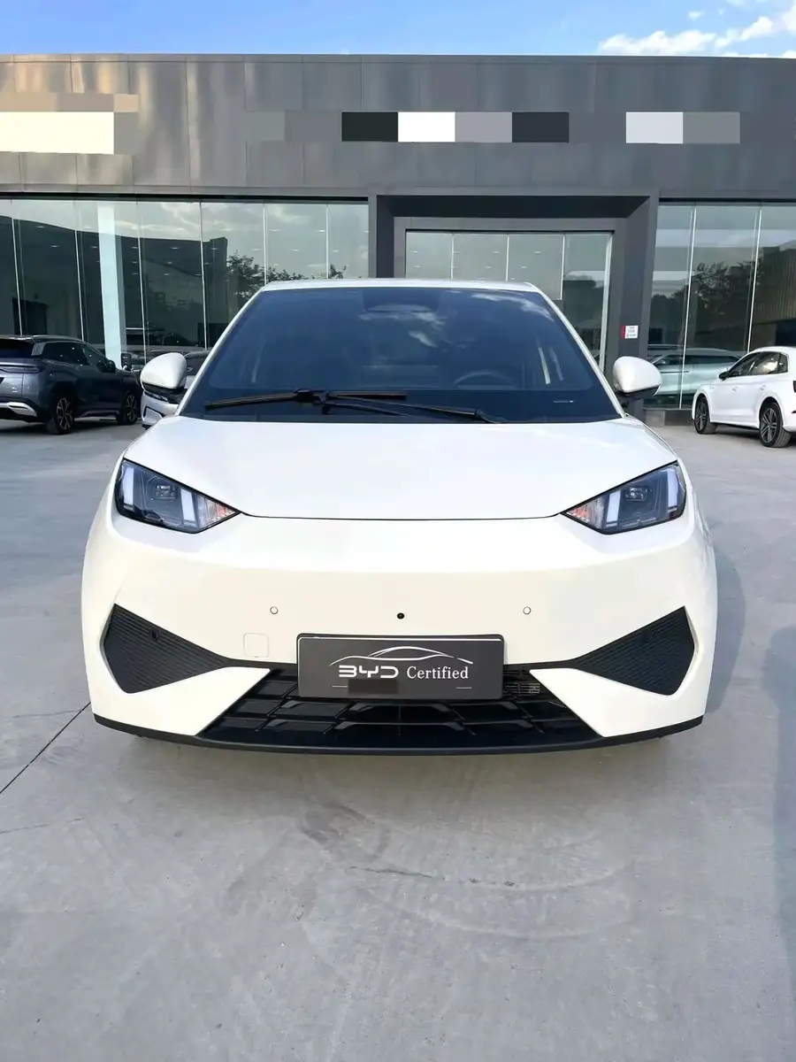 2025 BYD Seagull Smart Driving 405km Flying Edition 2
