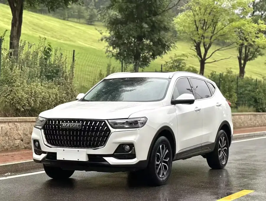 2023 Haval H6 National Trend Series 1.5T Automatic Urban Edition 2