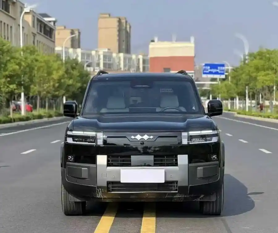 2025 BYD Titanium 7 135KM 2WD Pro Edition 2