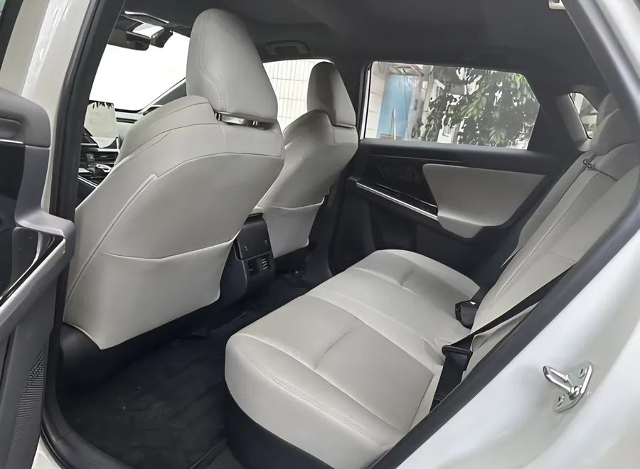 2024 Toyota Bozhi 4X 615 MAX Edition 3
