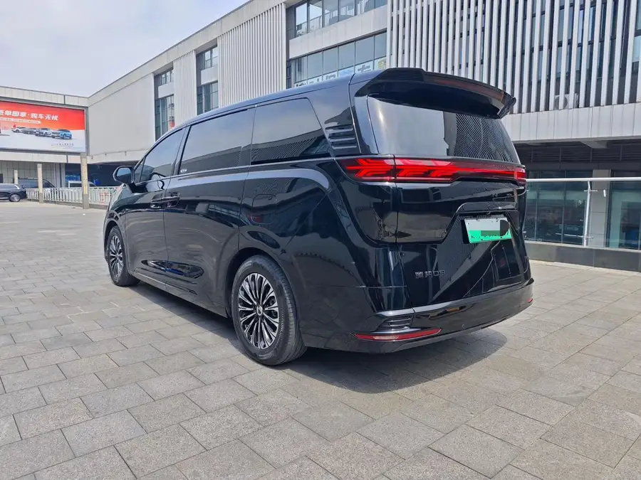 2024 Denza D9 PIONEER 4‑seat Premier Version 3