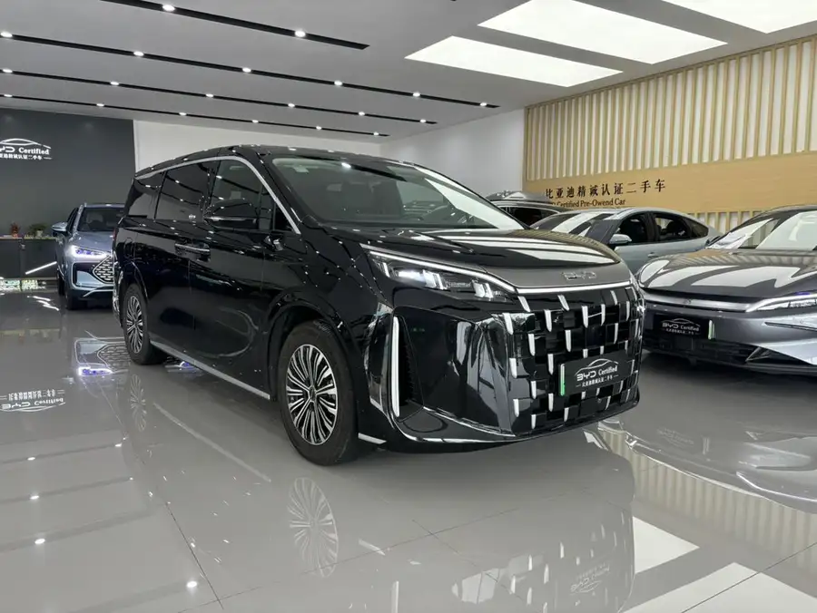 2025 BYD M9 1060 Pilot Version