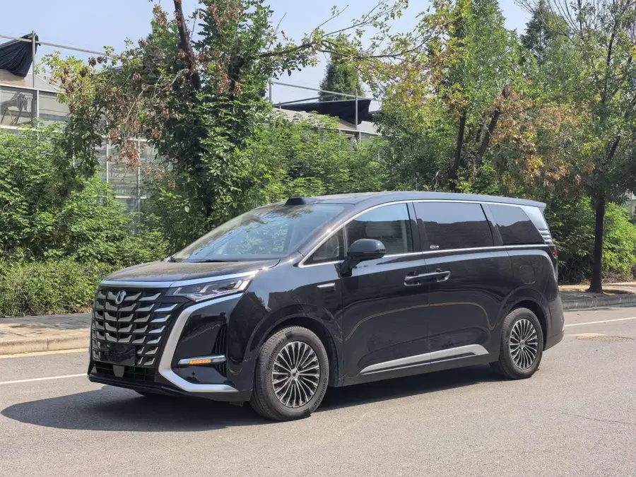 2025 Denza D9 DM-i AWD Zunhang Edition
