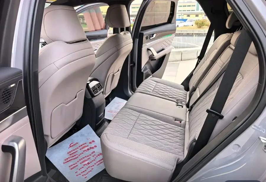 2025 BYD Tang New Energy DM-i 115KM Honor Edition 4