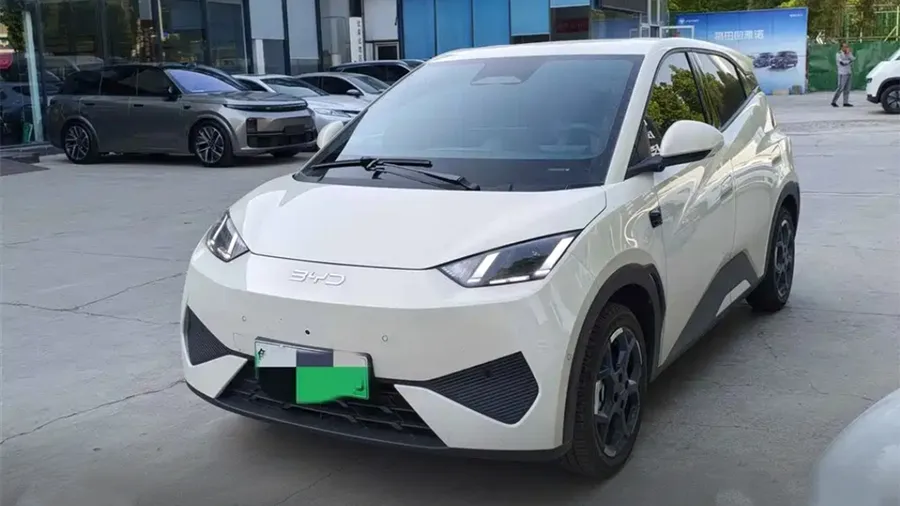 2025 BYD Seagull Smart Driving 305km Freedom Edition 2