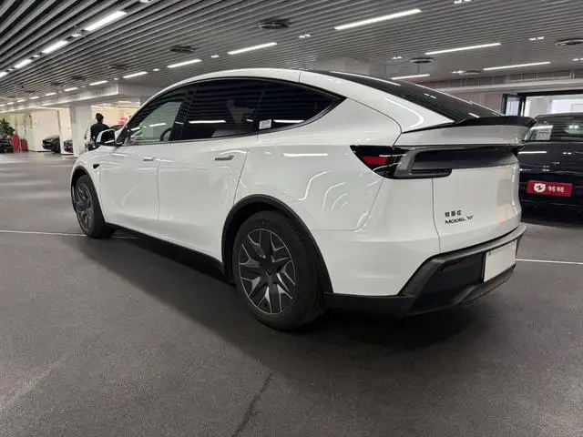 2025 Tesla Model Y L Long Range All-Wheel Drive 2