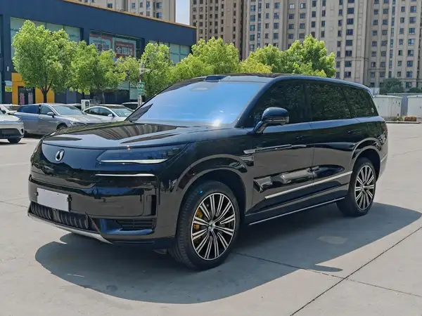 2025 Denza N9 Honor Version