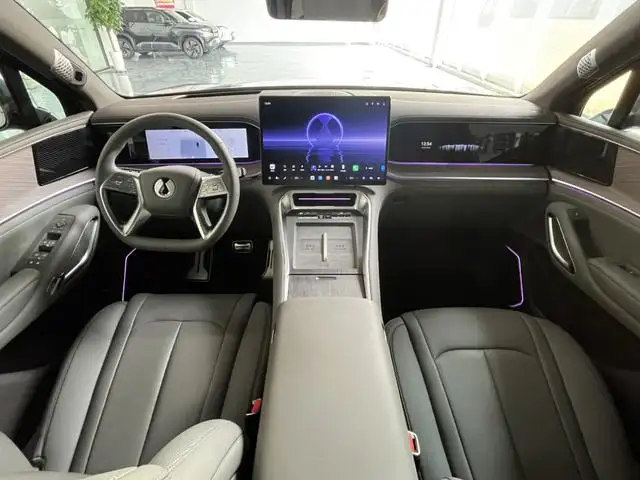 2025 Denza N9 Flagship Edition 4