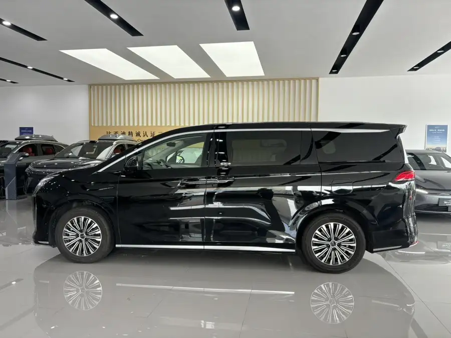 2025 BYD M9 1060 Pilot Version 2