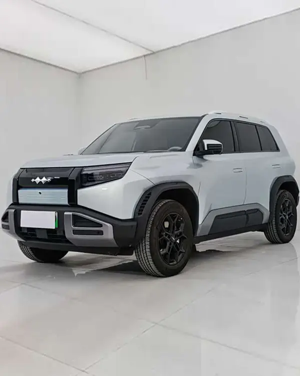 2025 Tan 3 501KM RWD Max Edition