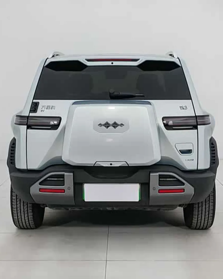2025 Tan 3 501KM RWD Max Edition 3