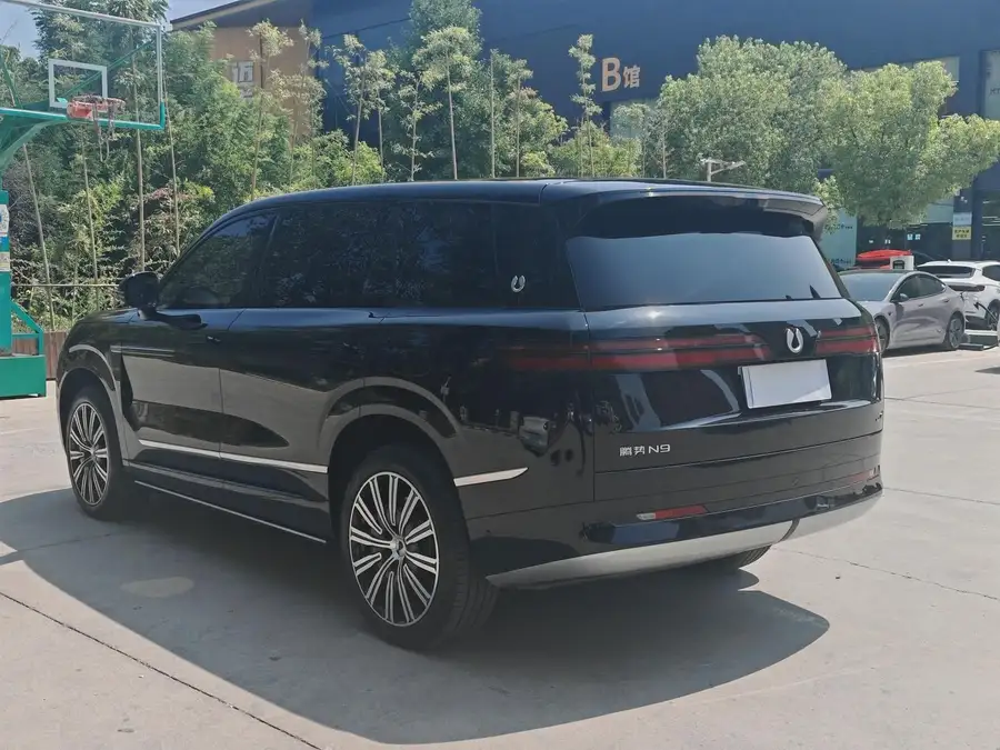 2025 Denza N9 Honor Version 2