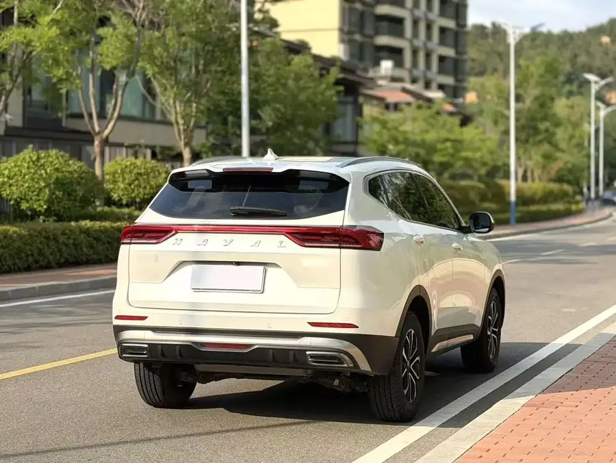 2021 Haval H6 National Trend 1.5T Automatic Urban Edition 3