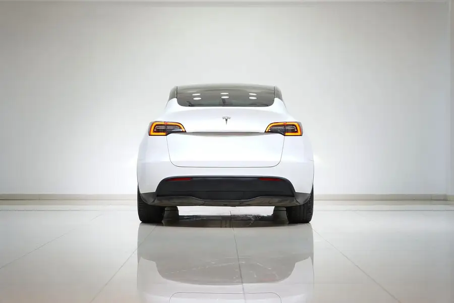 2021 Model Y Standard Range Rear‑Wheel‑Drive Version