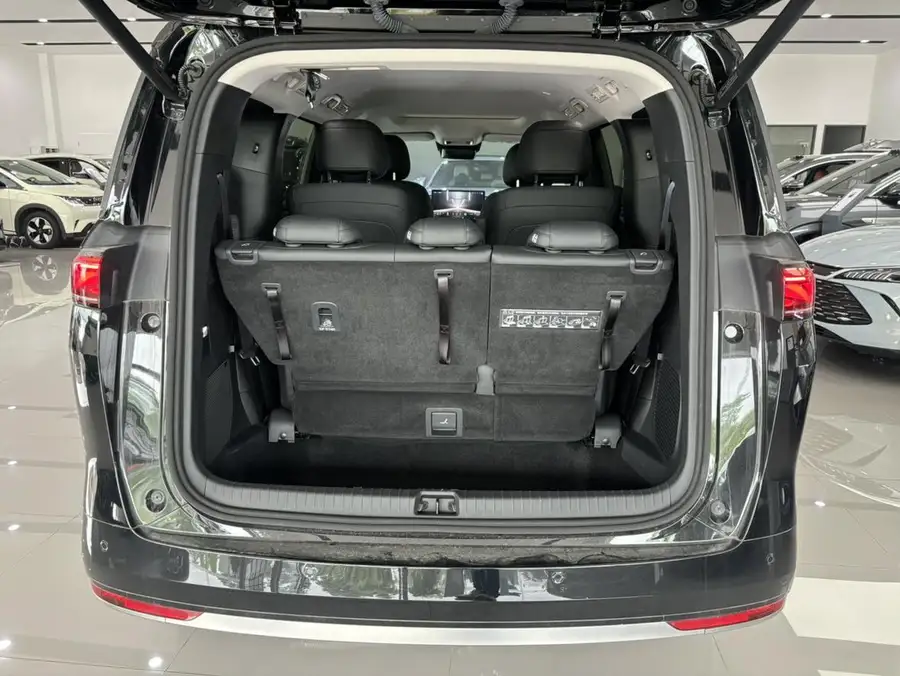 2025 BYD M9 1060 Pilot Version 4