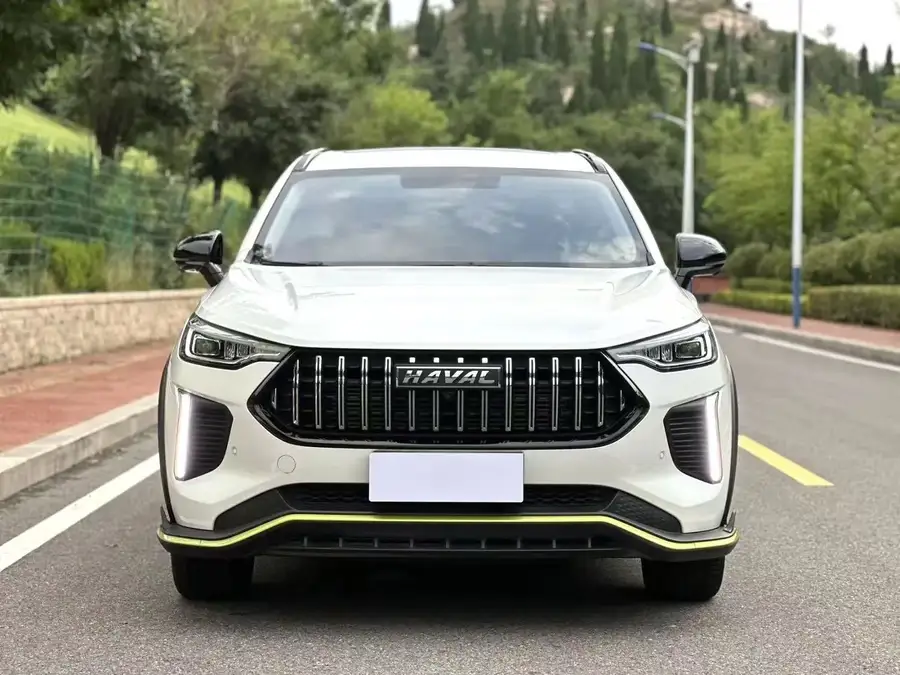 2022 Haval Chitu Enjoy Edition 1.5T Bronze Rabbit 2