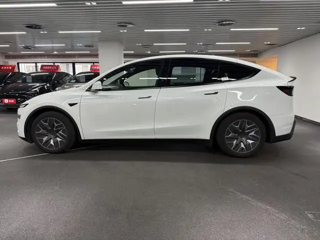 2025 Tesla Model Y L Long Range All-Wheel Drive 3