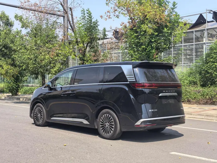2025 Denza D9 DM-i AWD Zunhang Edition 2