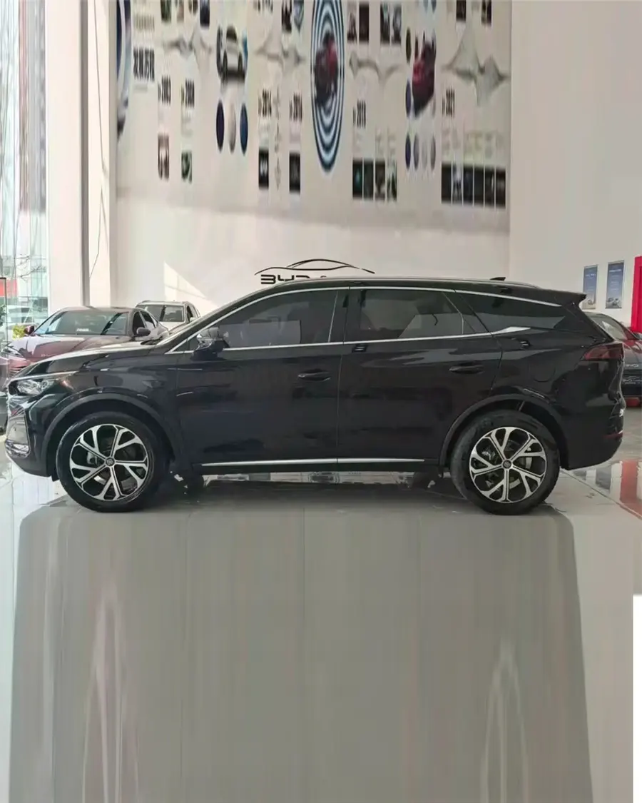 2025 BYD Tang New Energy DM-i 115KM Flagship Edition 2
