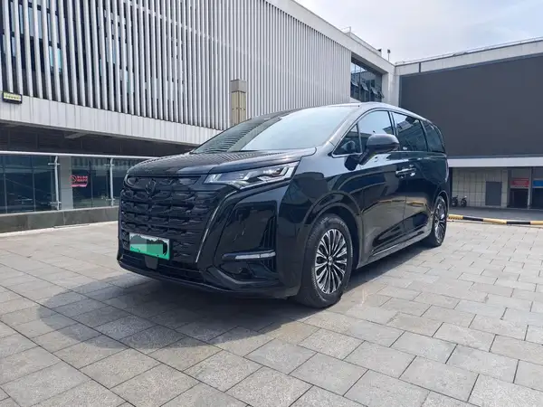 2024 Denza D9 PIONEER 4‑seat Premier Version