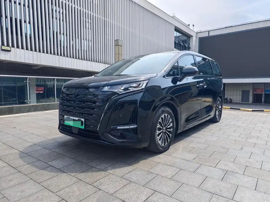 2024 Denza D9 PIONEER 4‑seat Premier Version