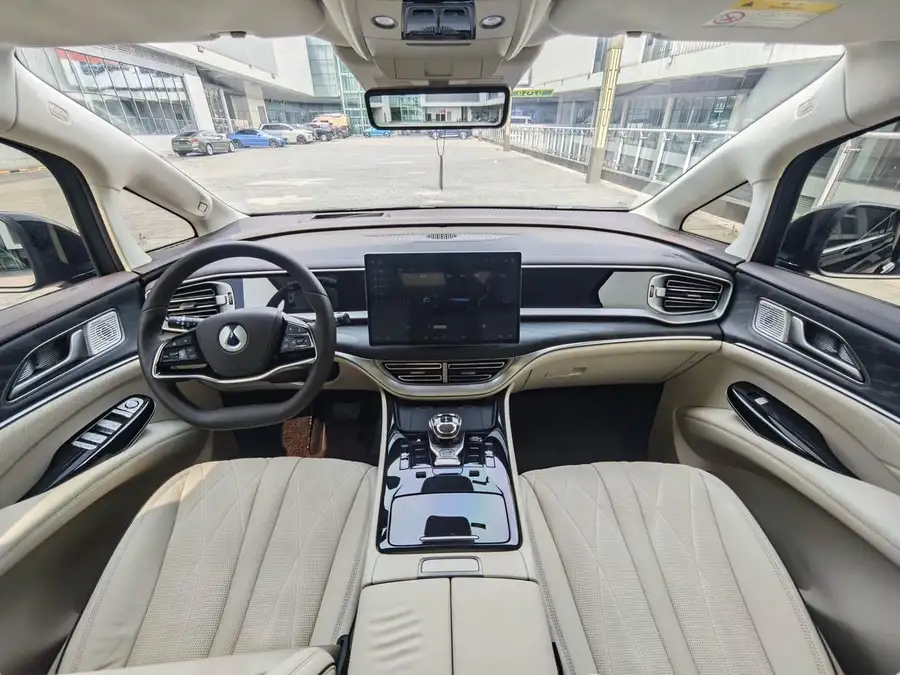 2024 Denza D9 PIONEER 4‑seat Premier Version 4