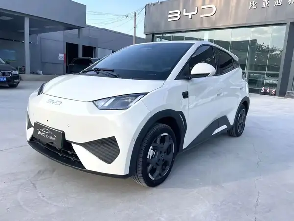 2025 BYD Seagull Smart Driving 405km Flying Edition