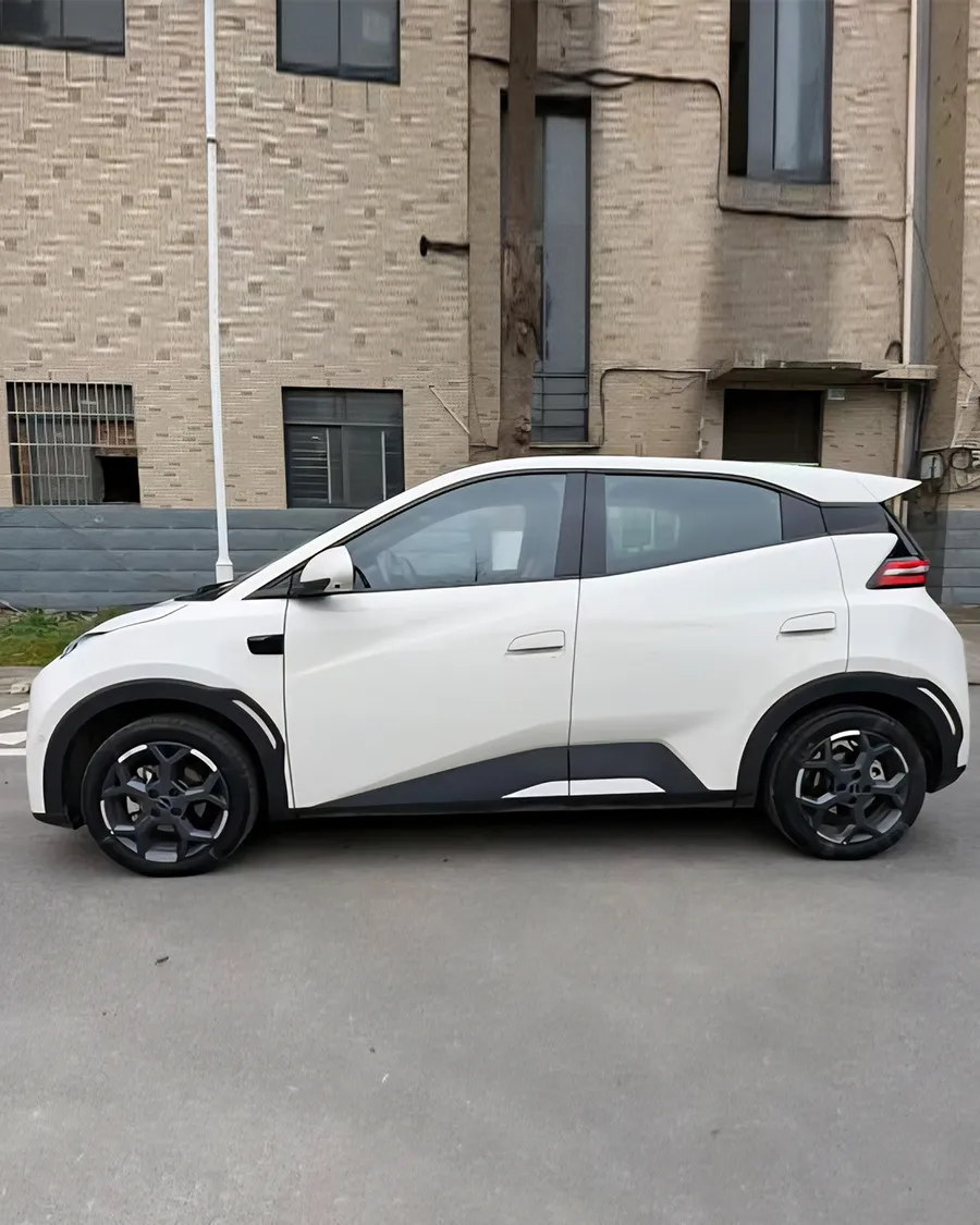 2025 BYD Seagull Intelligent Driving 305km Free Edition 2