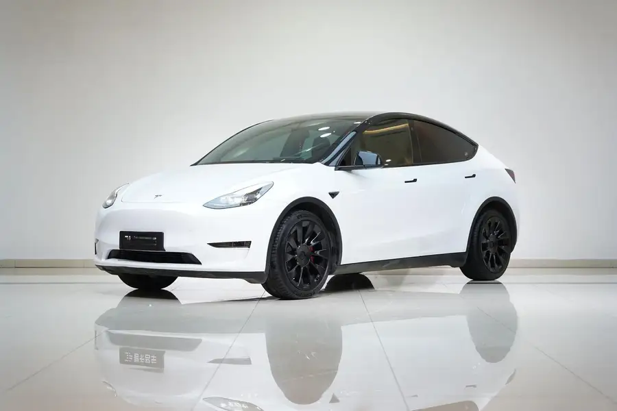 2021 Model Y Standard Range Rear‑Wheel‑Drive Version 2