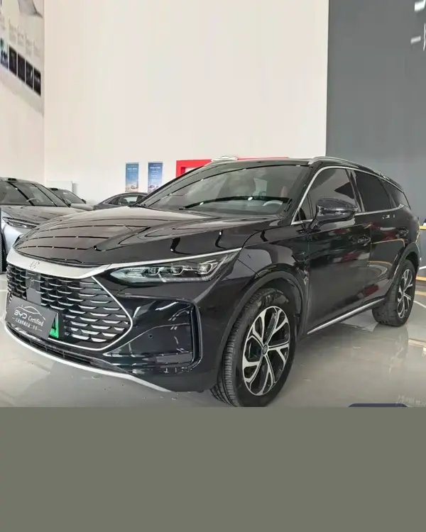 2025 BYD Tang New Energy DM-i 115KM Flagship Edition