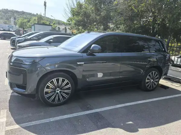 2025 Denza N9 Flagship Edition
