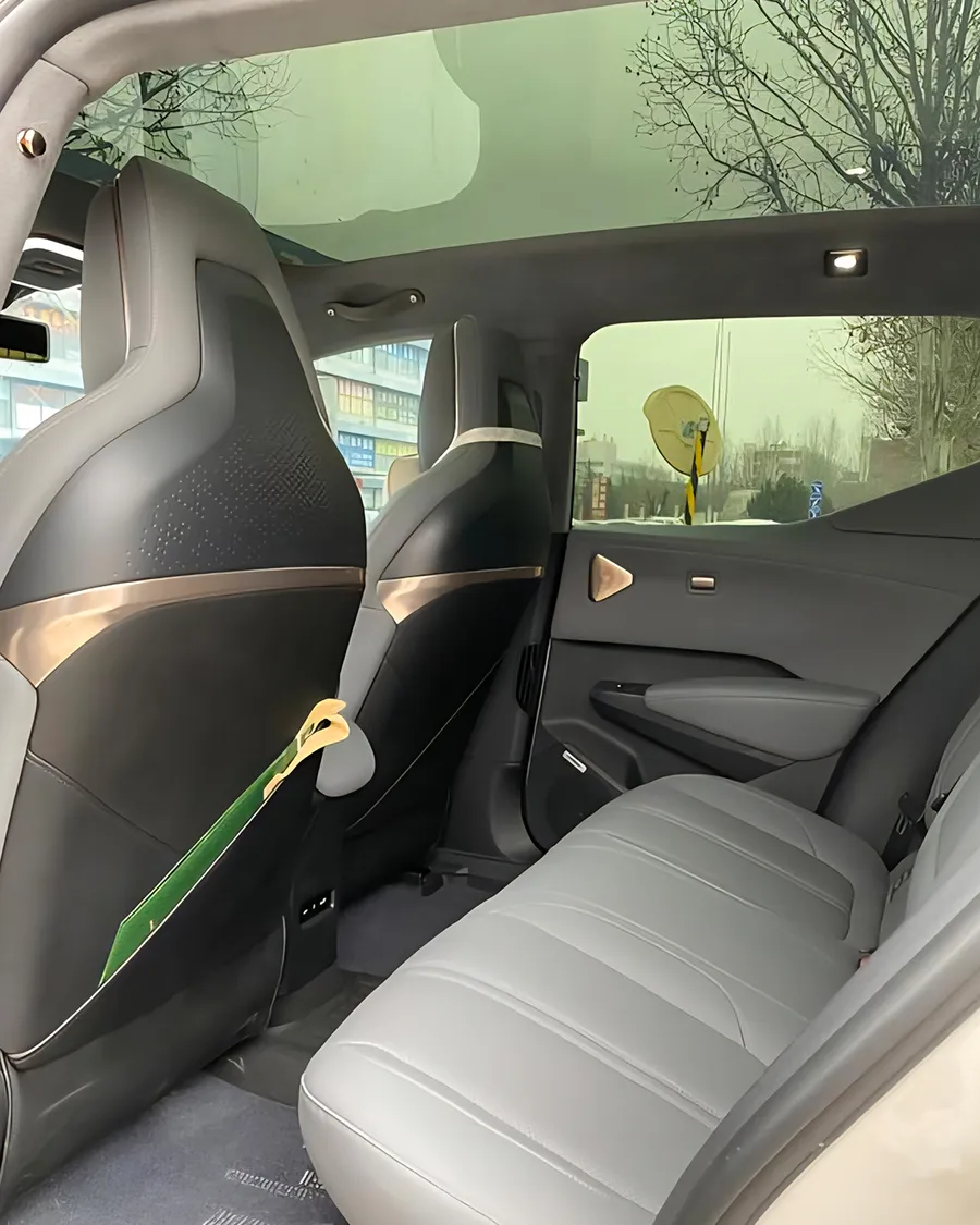 2023 ZEEKR X 4WD YOU Edition 5-Seater 3