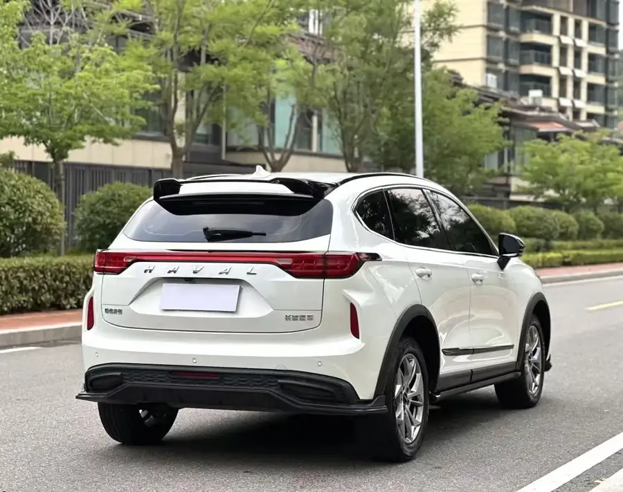 2022 Haval Chitu Enjoy Edition 1.5T Bronze Rabbit 3