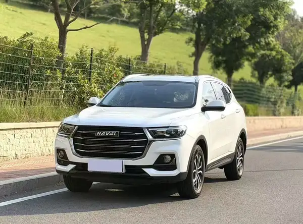 2021 Haval H6 National Trend 1.5T Automatic Urban Edition