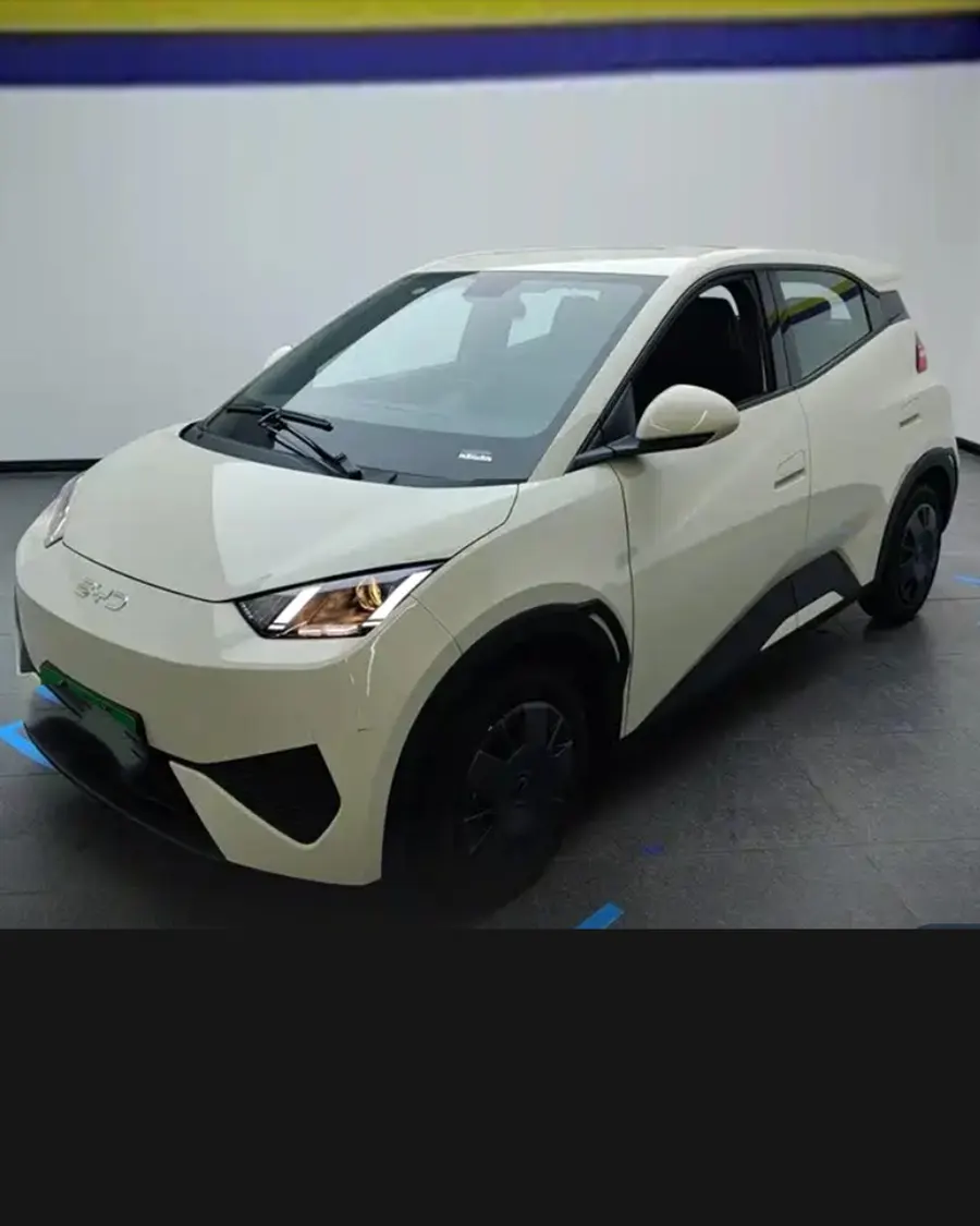 2025 BYD Seagull Intelligent Driving Edition 305km Vitality Edition 2