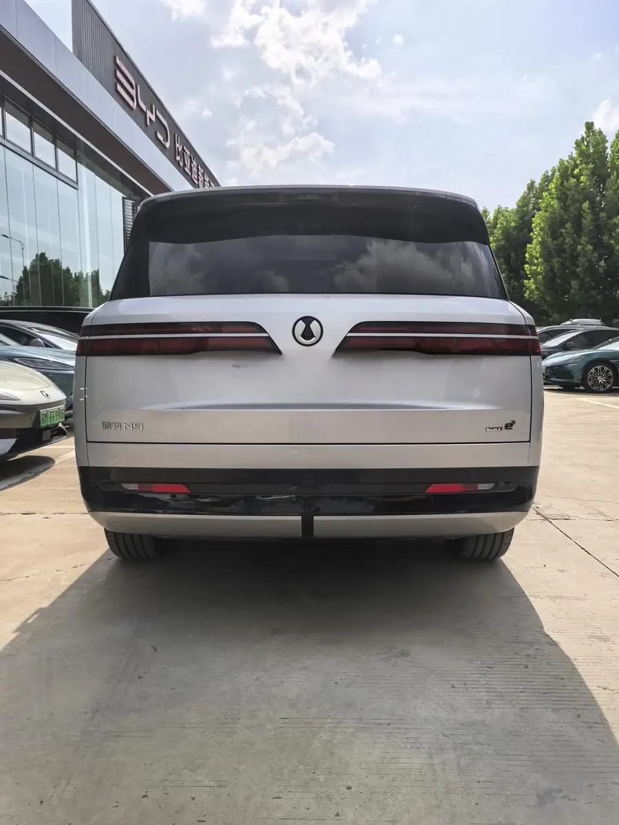 2025 Denza N9 Flagship Model 2